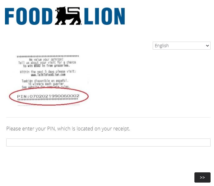 Food-Lion-Survey-step2 pin code page